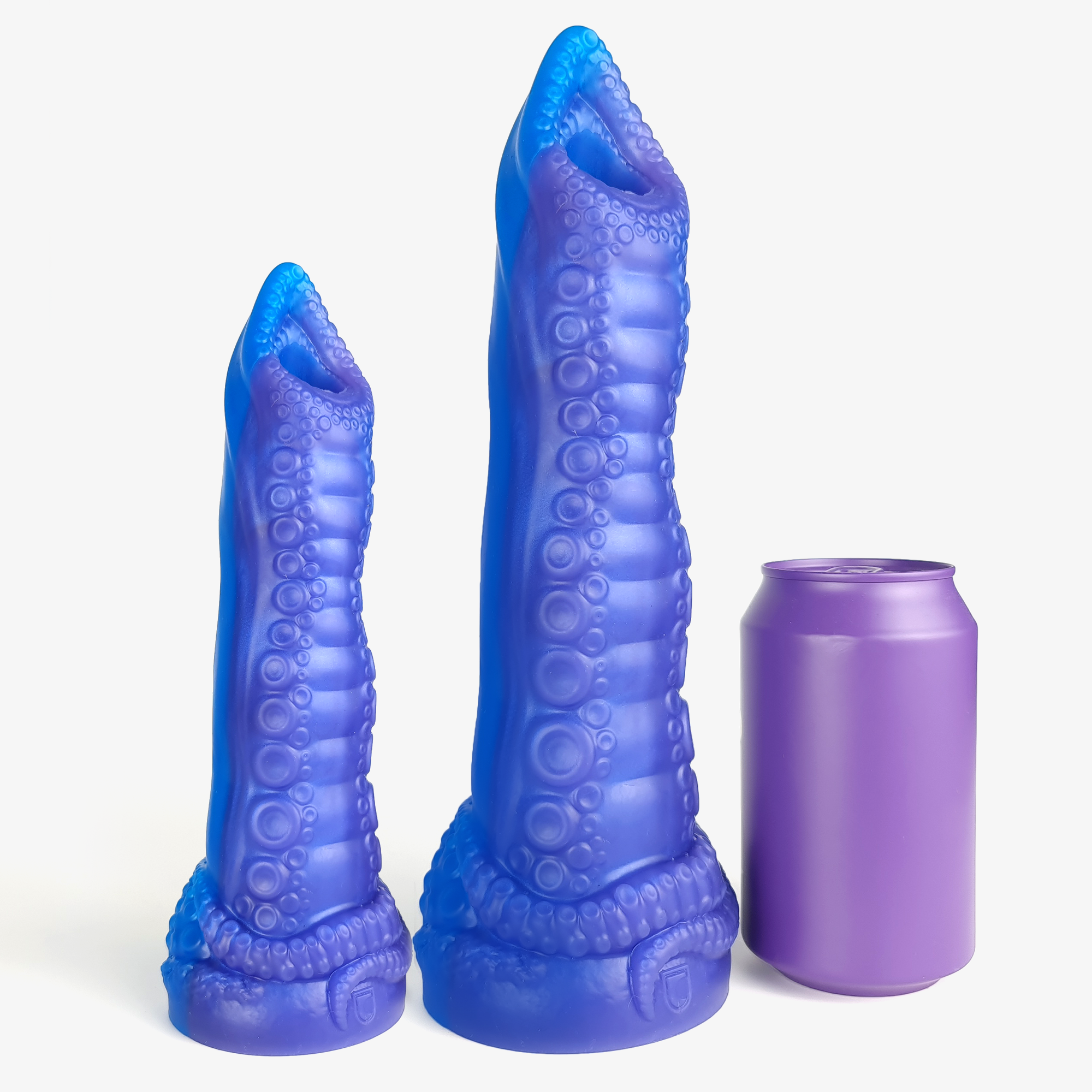 The tentacle ovipositor size comparison next to 330ml can.