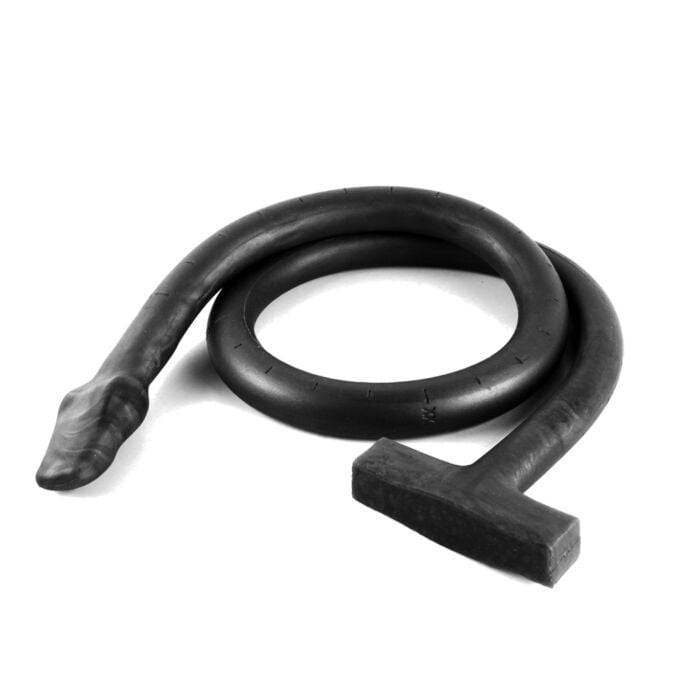 Basilisk Anal Colon Snake