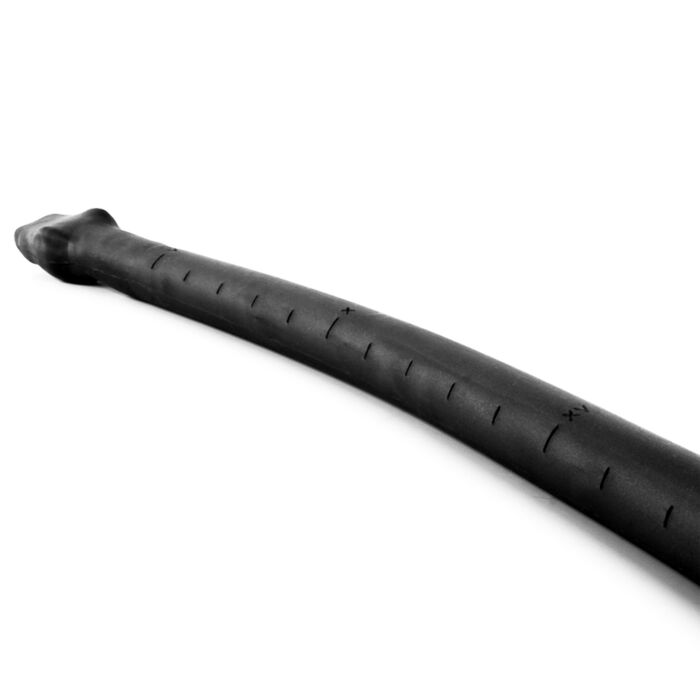 Basilisk Anal Colon Snake